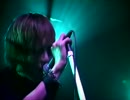 D'espairsRay  /   Infection (live)