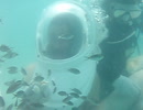 水中遊泳