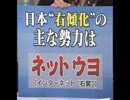 【ニート】２ちゃんやニコニコに生息するネットウヨとは【引きこもり】