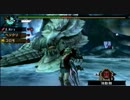 【大剣ソロ？】３／３ウカムルバスvsカジュアルな♀ハンター【MHP3rd】