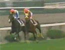 【競馬】 2000年 ３歳新馬 アグネスゴールド
