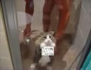 mugenオールスター？タッグファイトその106
