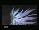 初実況プレイ！！　テイルズオブシンフォニアをだらだらとプレイ　part1