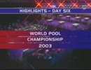 【ビリヤード】世界選手権2003 E.レイズ vs N.V.D.バーグ HiLights in Day 6th①