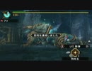 MHP3rd 上位ジンオウガ2頭 火事場ライト5分針
