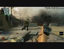 【PC版CoD:BO】みるくのチームデスマッチ　20発　M14