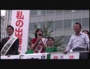 2010.06.28【参院選】秋葉原駅前で街頭演説【東海ゆき子】