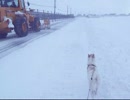 青森の雪道散歩