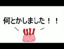 【超絶マイペース実況】MHP3rd　11狩り目～Reia姉さんと画力で勝負ｗ編～