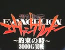 新世紀エヴァンゲリオン～約束の時～3000G実戦　その１