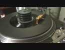 細野晴臣トリビュート・アルバム-16