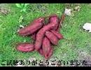 池袋の日常が幻想入り　第12章