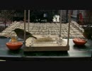 ベランダ食堂２０１１　めじろとすずめ