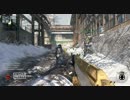 【PS3】Aim bot と外人からメールが来た　チーデス(´・ω・｀)【COD：BO】