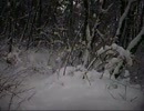2011年1月16日　MTBで雪山下り
