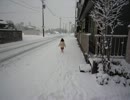 雪国