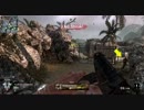 【ゆっくり実況】個性がほしいBlack ops part11【TDM 蠍】