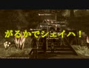 がるかでシェイハ！FF14実況Part.029  妖精の国（前編）