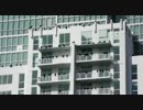 高層住宅に群がるコンドル