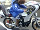 【旧車會】茨城コール７