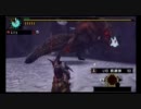 【MHP3】 イビルジョー ライトボウガンソロ　5:55討伐