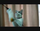 連続ねこパンチ