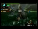 [MHP3]初心者さんいらっしゃい[実況]　その34　ハンマーでアシラ２頭