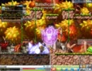 ｢メイプルストーリー｣アランLv132 みずき鯖