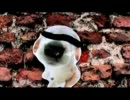 Solex vs Cristina Martinez + Jon Spencer - Dog Hit