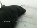道東クエスト　Ｌｖ．５