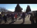 フロストバイトロードレース2011　スタート地点