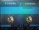 ポケモンBW二人でバリモエ対戦実況 Part4 オオタチはかわいい=・w・=