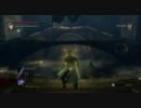 【DS】ゲーム下手な男が単身デーモンへ挑んでみたり【番外編】 黒の書
