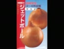 【第19回マサヤ杯】　マリオカートWii実況プレイ（ジェトボ縛り）