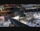 【ゆっくり実況】個性がほしいBlack ops part12【CTF】