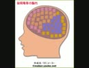 イナイレキャラの脳内をちょいっと調べてみたらこうなった(´・ω・`)
