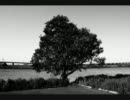 モノトーン写真集[再うｐ]