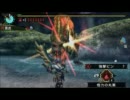 【MHP3】イビルジョー　火事場弓0分針討伐