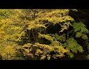 三つのジャポニスム（カット２）