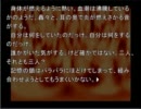 【東方小説】　空に帰る　中編