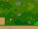 マリオワールド　アイテム増殖