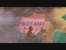 Botany - Agave