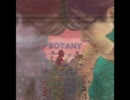 Botany - Feeling Today