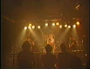 曼珠沙華 - Warm