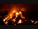 【奈良】若草山の山焼き