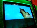 ガンダムカードビルダー　全国対戦【最終防衛投げ部隊】