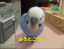 おしゃべりインコぴのこ　昔話シリーズ14 「“と”の呪い」