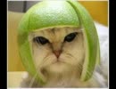 【おかえりなさい】少し笑って明日も頑張ろう＾＾【お疲れ様です】