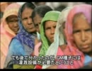 ＴＰＰで規制撤廃が進むと日本の農業はどうなるのか？