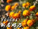 新居昭乃 「Voices」を歌ってみた